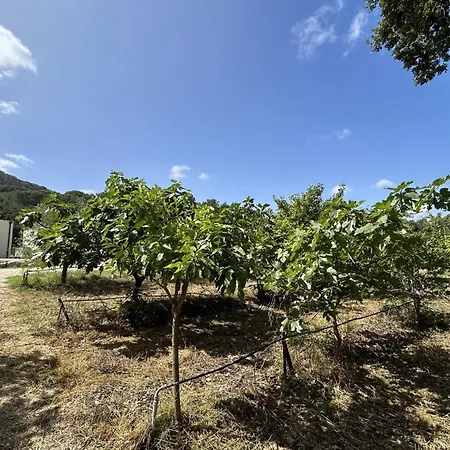 3-room House With Pool And Garden ホテル